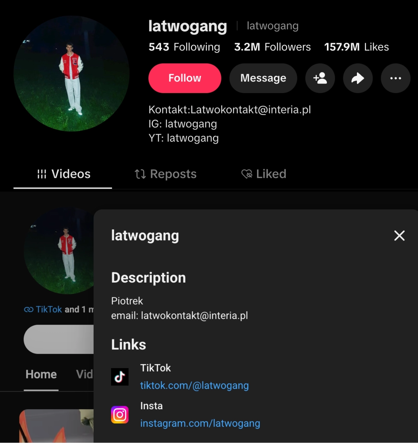 Manual TikTok profile photo and bio inspection